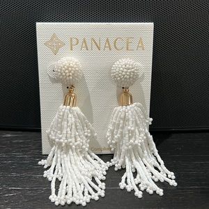 New Fringe Tassel  earrings